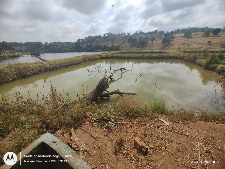 Fazenda, 41 hectares - Foto 12