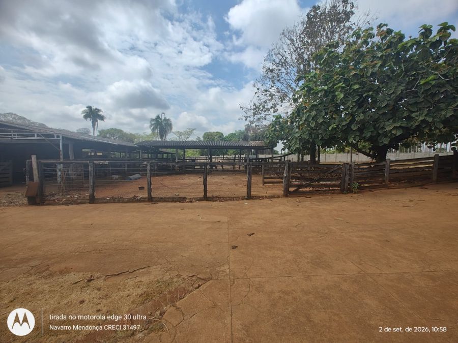Fazenda, 41 hectares - Foto 7