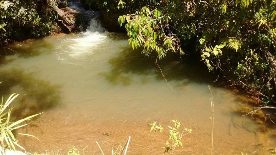 Fazenda, 48 hectares - Foto 4