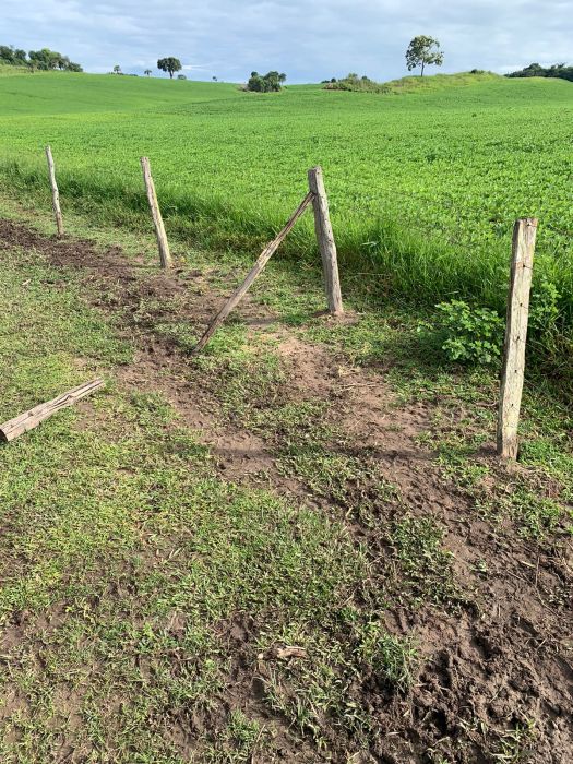 Fazenda, 133 hectares - Foto 8