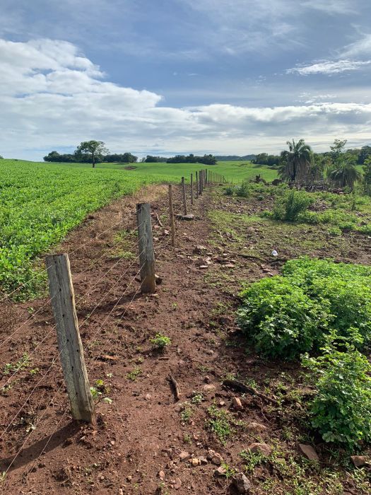 Fazenda, 133 hectares - Foto 4