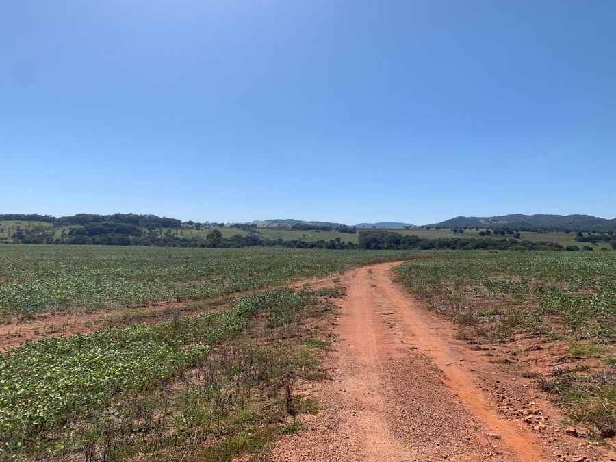 Fazenda, 133 hectares - Foto 1