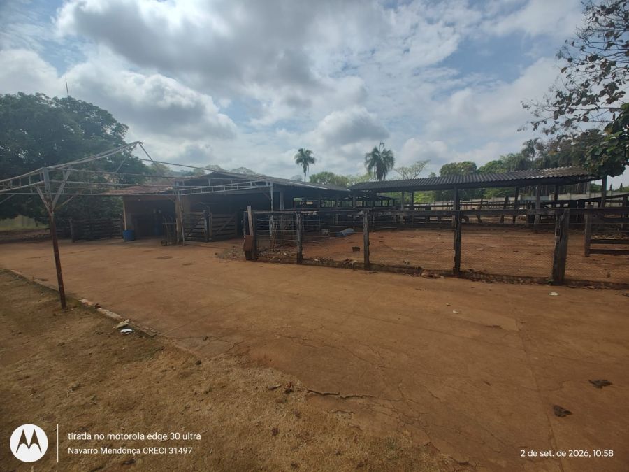 Fazenda, 41 hectares - Foto 3