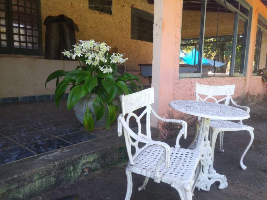 Fazenda, 48 hectares - Foto 9
