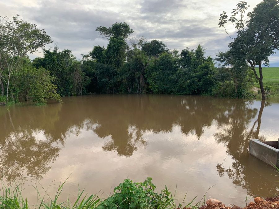 Fazenda, 133 hectares - Foto 2