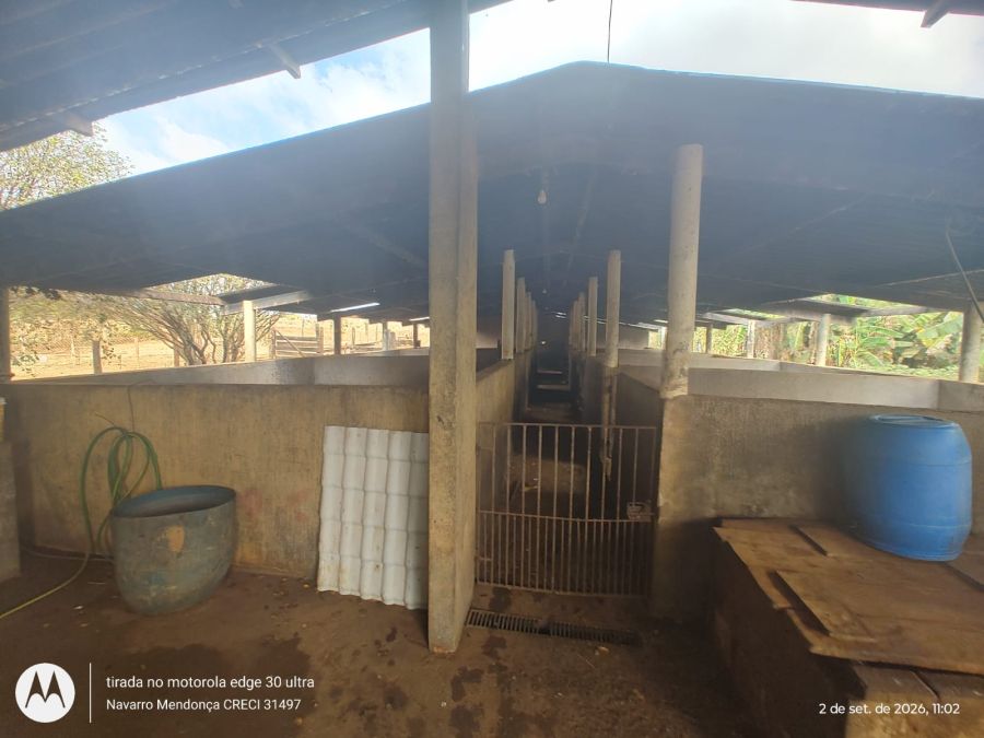 Fazenda, 41 hectares - Foto 2