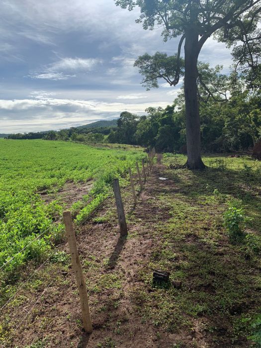 Fazenda, 133 hectares - Foto 7