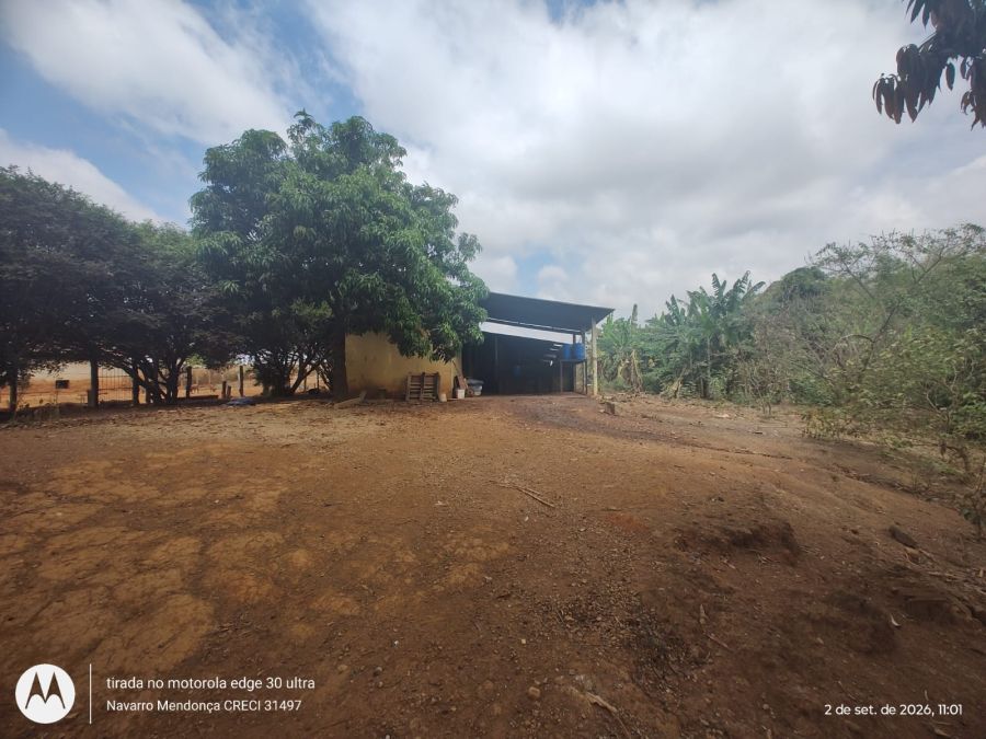 Fazenda, 41 hectares - Foto 6