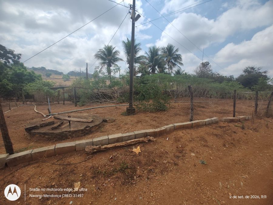 Fazenda, 41 hectares - Foto 13