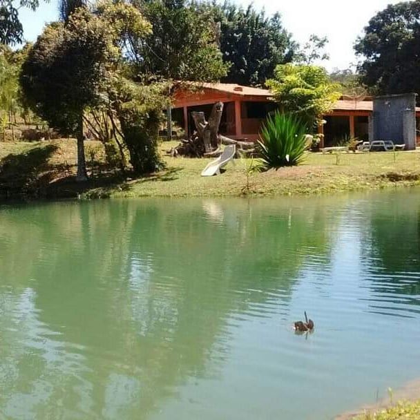 Fazenda, 48 hectares - Foto 15