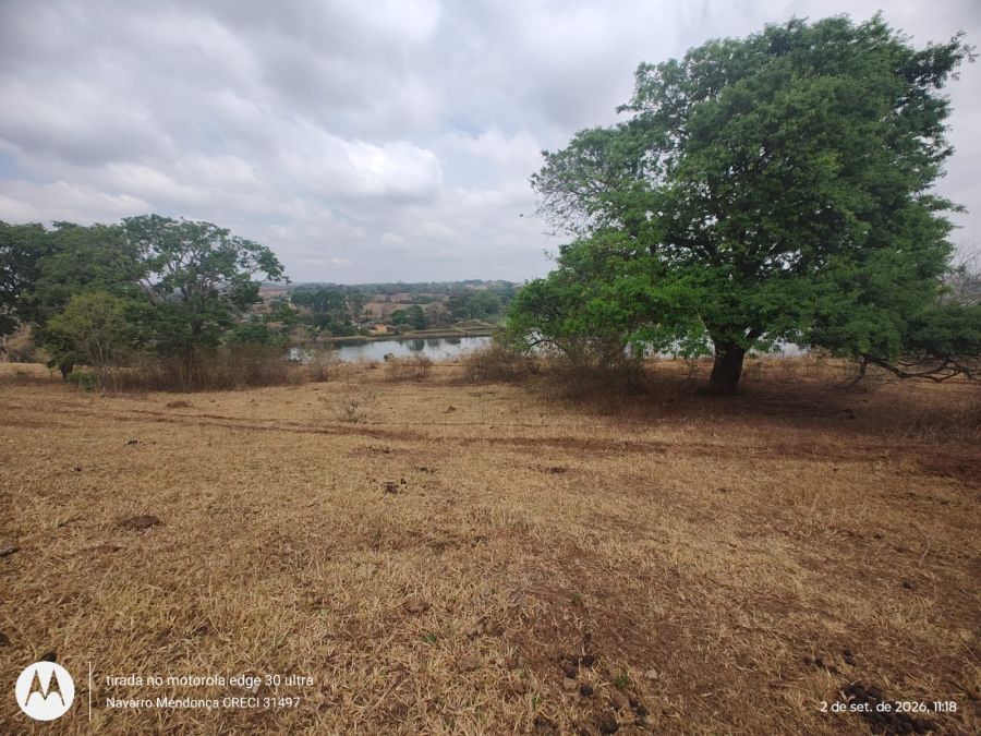 Fazenda, 41 hectares - Foto 17