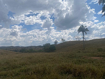 Fazenda para cria de gado 105 alqueires