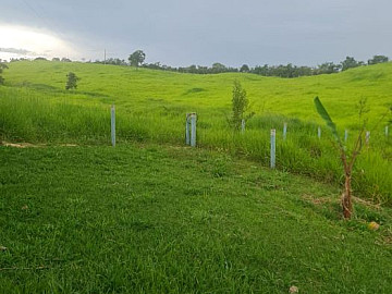 S�tio - Venda - Zona Rural - Alex�nia - GO