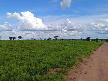 Fazenda - Venda - Setor Morada do Sol (taquaralto) - Palmas - TO