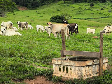 Fazenda dupla aptid�o em Taguaral de goias